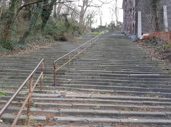 Tocht Stappen Luik - Rocourt 6 - Photo