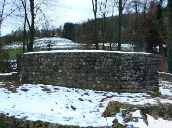Trail On foot Baldingen - Rundweg - fixme - Photo