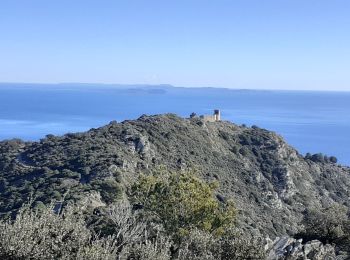 Percorso Marcia Six-Fours-les-Plages - le brusc vers Notre-dame su mai - Photo