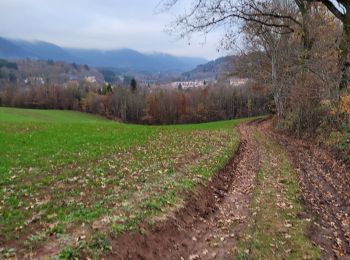 Randonnée Marche Vieux-Moulin - Balade autour de Vieux Moulin en passant par Machimont - Photo