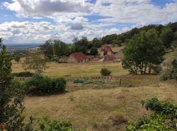 Tour Zu Fuß Missery - La Montagne de Missery - Photo