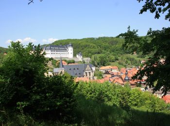 Randonnée A pied Harztor - Wanderweg 