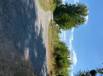 Tour Wandern Enghien - Enghien parc 14,5 km - Photo