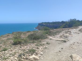 Trail Walking Leucate - FALAISES LEUCATE-LA FRANQUI Mardi jour - Photo