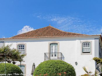 Tour Zu Fuß Carvoeira e Carmões - Rota das Quintas - Photo