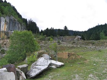 Percorso A piedi Campan - Boucle d'Espiadet - Photo