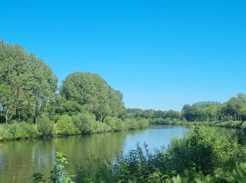 Excursión Bici eléctrica Gante - Vlaamse Ardennen - Photo