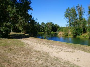 Randonnée Marche Saché - Saché - Goupillières - 14.8km 185m 3h40 - 2022 07 10 - Photo