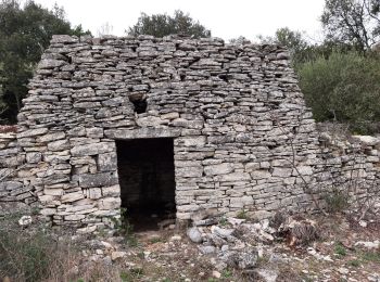 Excursión Senderismo Martignargues - Marsillargues-Vézenorbes 220317 - Photo