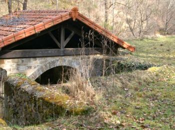 Excursión Senderismo Azérat - Les eaux minérales oubliées de Clémensat - Photo