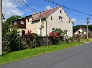 Percorso A piedi Litvínov - [Ž] 6949 Hamr - Nad hrází Mostecké přehrady - Photo