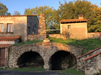 Excursión Senderismo La Bastide - La Bastide-Palomere-StMarsal - Photo