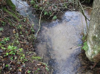 Randonnée A pied Laudenbach - Rundwanderweg Tal Laudenbach 2: Saufang-Weg - Photo