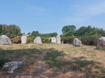 Excursión Bicicleta híbrida Belz - A la découverte des monolythes - Photo