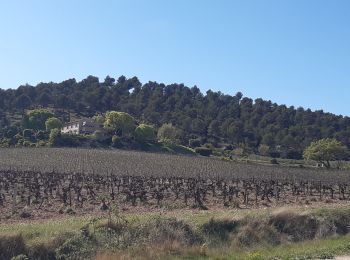 Excursión Senderismo Villelaure - Villelaure Hubac Collet Blanc - Photo