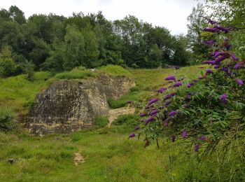 Randonnée Marche Valkenburg aan de Geul - Valkenburg - 668  - Photo