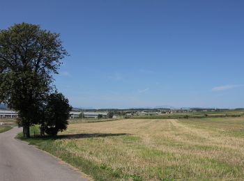 Tour Zu Fuß Gemeinde Müllendorf - Hoad3 (Müllendorfer Walkingstrecken) - Photo