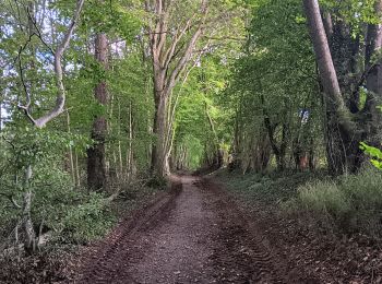 Randonnée Marche Sprimont - autour de dolembreux  - Photo