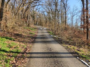 Randonnée Marche Hastière - Hastiere, Entre mont et vallée - Photo