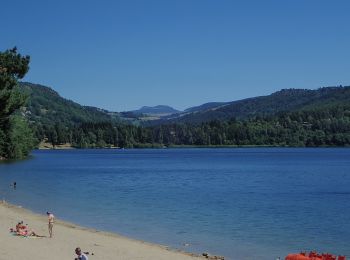 Percorso A piedi Le Lac-d'Issarlès - Le tour du Lac - Photo