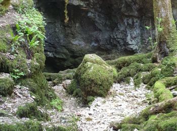 Excursión Senderismo Espagnac-Sainte-Eulalie - St Eulalie  Marcilhac J2+ - Photo