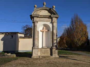 Percorso A piedi Hrádek nad Nisou - NS Stezka stromů - Photo