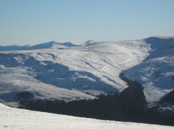 Percorso A piedi Sconosciuto - Șaua Huluzul - Cabana Groapa Seaca - Photo