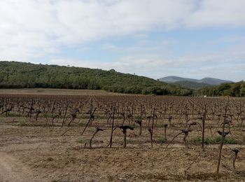 Randonnée Marche Quissac - Quissac Bragassargues le 10 février 2022 - Photo