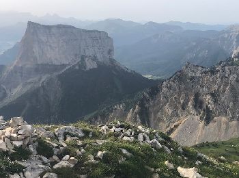 Excursión A pie Gresse-en-Vercors - Massif Aiguille et Grand Veymont - Photo