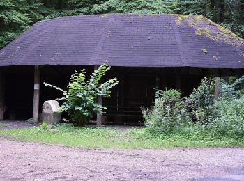 Tocht Te voet Onbekend - Rundwanderweg Blockhaus 2: Rindenhäusle-Weg - Photo