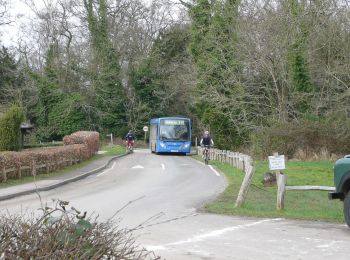 Trail On foot Mole Valley - The Box Hill Hike - Photo