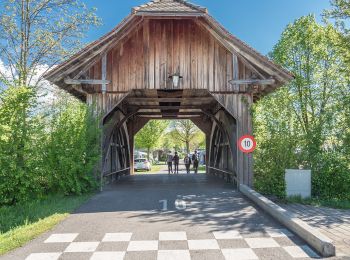 Tour Zu Fuß Nottwil - Nottwil - Sempach (Vogelwarte) - Photo