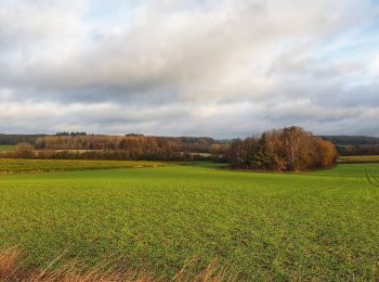 Randonnée Marche Philippeville - Balade à Jamiolle - Photo