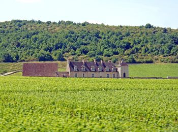 Tocht Te voet Bouze-lès-Beaune - Sentier des Biques - Photo