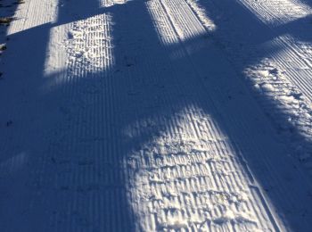 Randonnée Raquettes à neige La Llagonne - Llagone capcir  - Photo