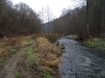 Tour Zu Fuß Tschisowitz - [M] Bojanovice-Slapy - Photo