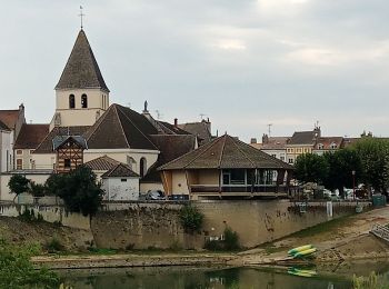 Randonnée Vélo de route Pouilly-sur-Saône - mn06 - Photo