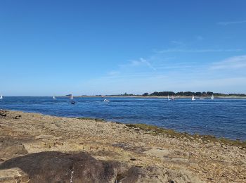 Excursión Bici de montaña Saint-Armel - Tour de la presqu'île de Rhuys - Photo