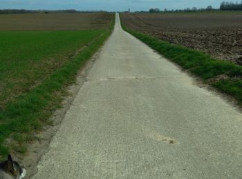 Percorso Marcia Tongeren - CANI-RANDO TOUR (boucle, Tongres 10km) - Photo