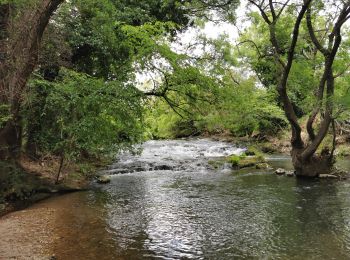 Tocht Stappen Besse-sur-Issole - Boucle entre Besse et Ste Anastasie sur Issole - Photo