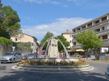 Randonnée Marche Gréoux-les-Bains - 20220612 - Gréoux les Bains - Découverte - Photo