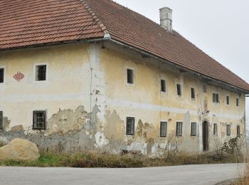 Randonnée A pied Nußbach - Nussgeistweg - Photo