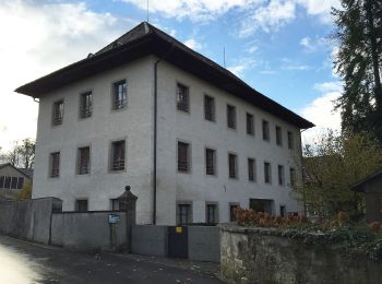 Tour Zu Fuß Möriken-Wildegg - Wildegg - Brücke Rupperswil - Photo