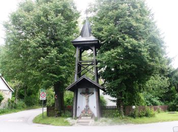 Excursión A pie Gemeinde St. Andrä-Wördern - Rundwanderweg 5 - Photo