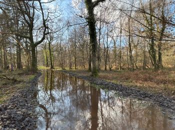 Randonnée Marche Cerisy-la-Forêt - Cerisy la Forêt  - Photo