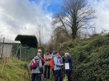 Trail Walking Château-Thierry - Brasles  - Photo