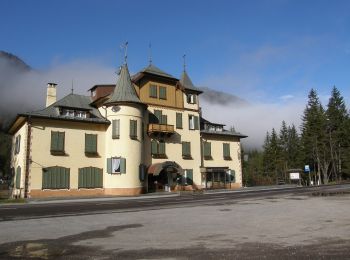 Tour Zu Fuß Toblach - IT-28B - Photo