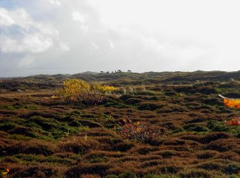Tour Zu Fuß Texel - De Bollekamer - Photo