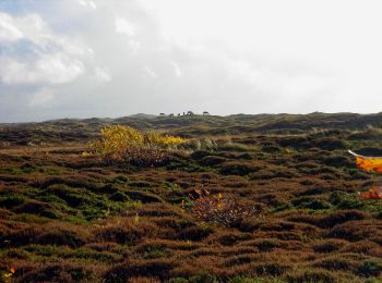 Randonnée A pied Texel - De Bollekamer - Photo