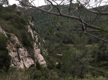 Randonnée Marche Bize-Minervois - Montredon / Combebelle-le-haut - Photo